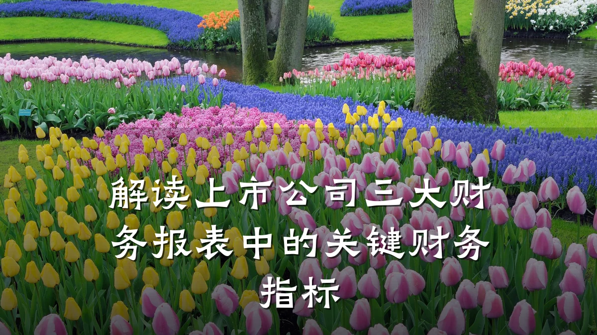 解读上市公司三大财务报表中的关键财务指标