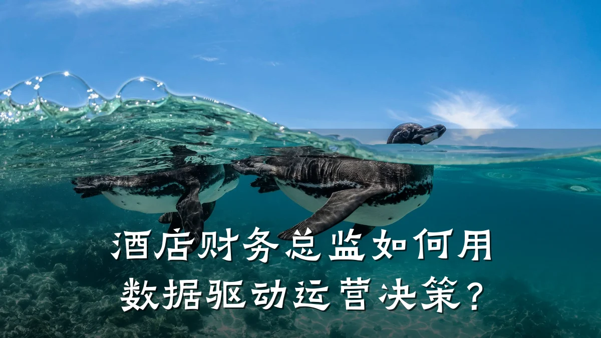 酒店财务总监如何用数据驱动运营决策？