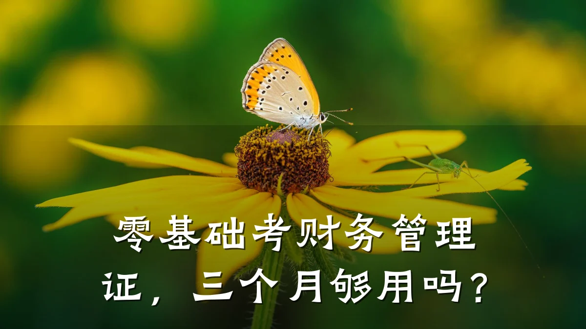 零基础考财务管理证，三个月够用吗？