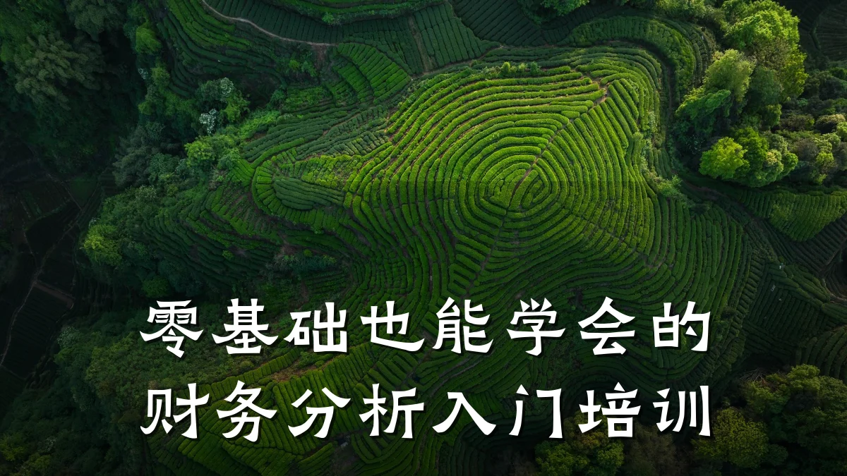 零基础也能学会的财务分析入门培训