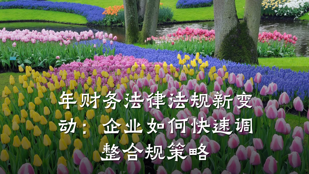 年财务法律法规新变动:企业如何快速调整合规策略