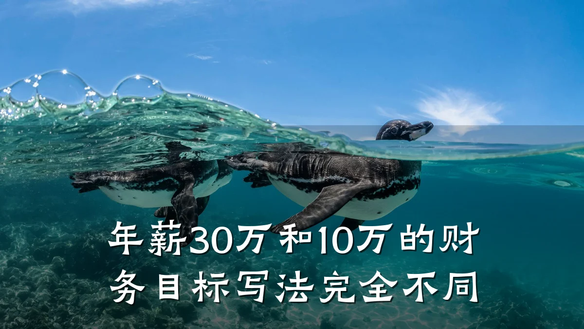 年薪30万和10万的财务目标写法完全不同