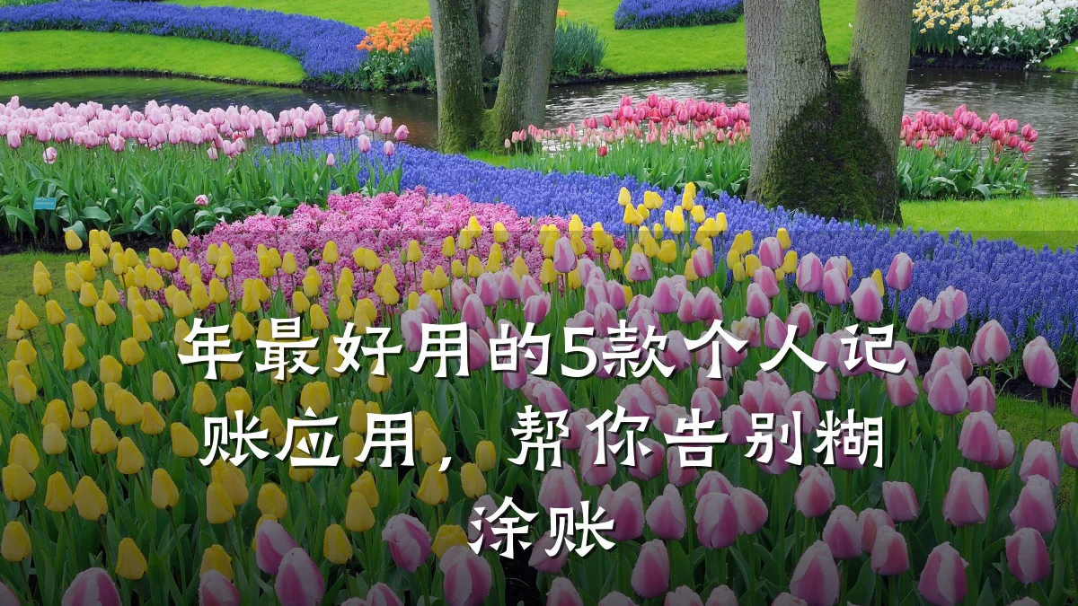 年最好用的5款个人记账应用,帮你告别糊涂账