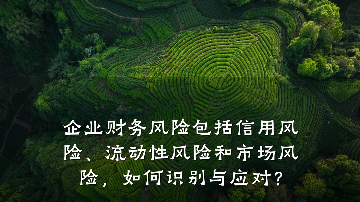企业财务风险包括信用风险、流动性风险和市场风险，如何识别与应对？