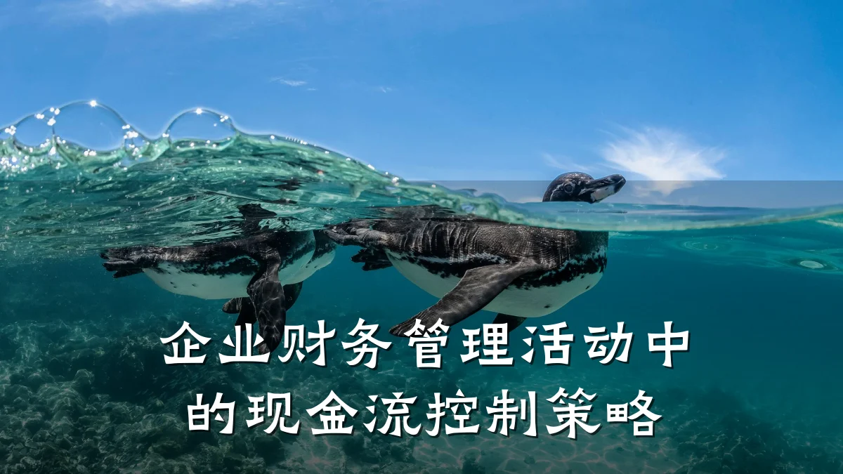 企业财务管理活动中的现金流控制策略