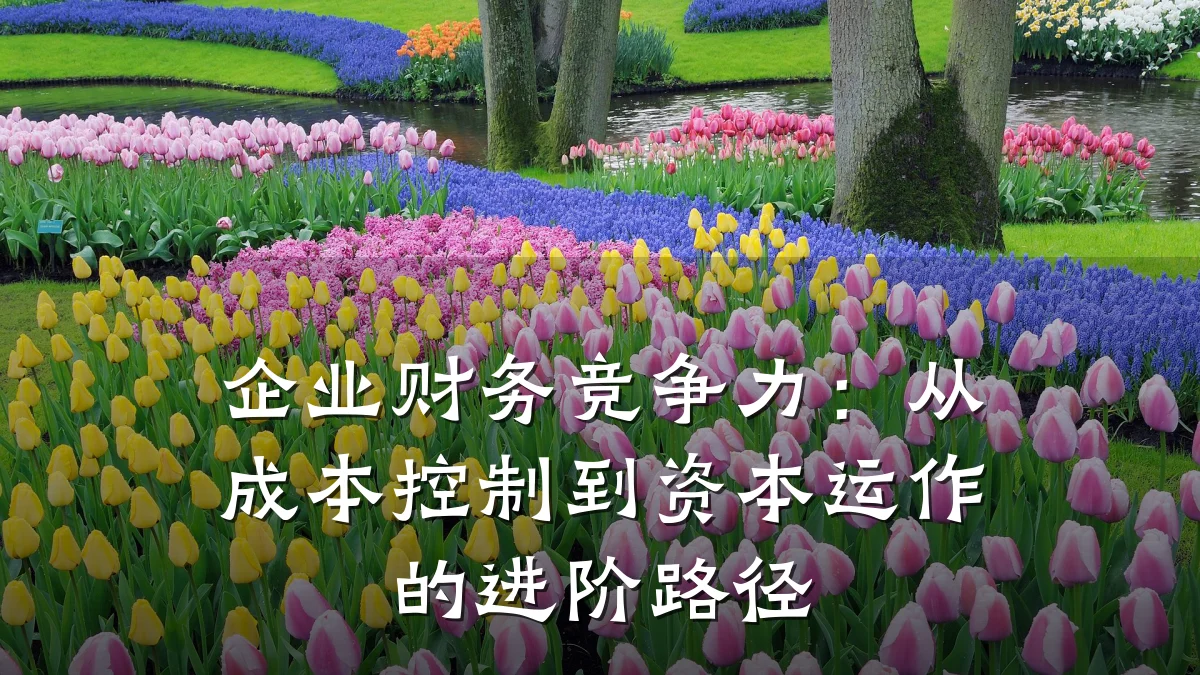 企业财务竞争力:从成本控制到资本运作的进阶路径