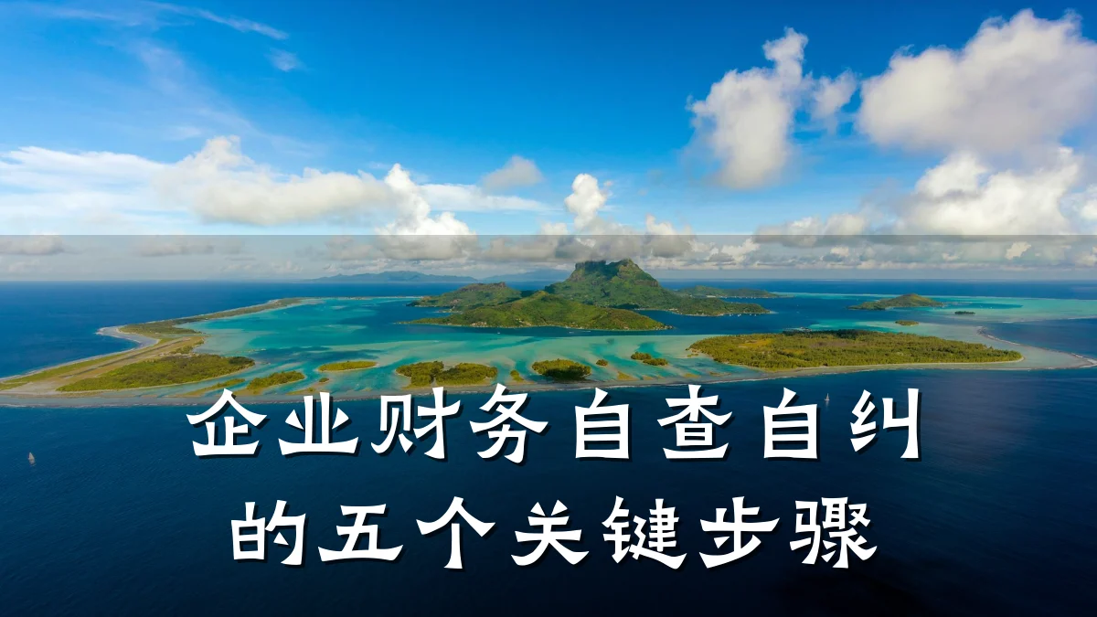 企业财务自查自纠的五个关键步骤