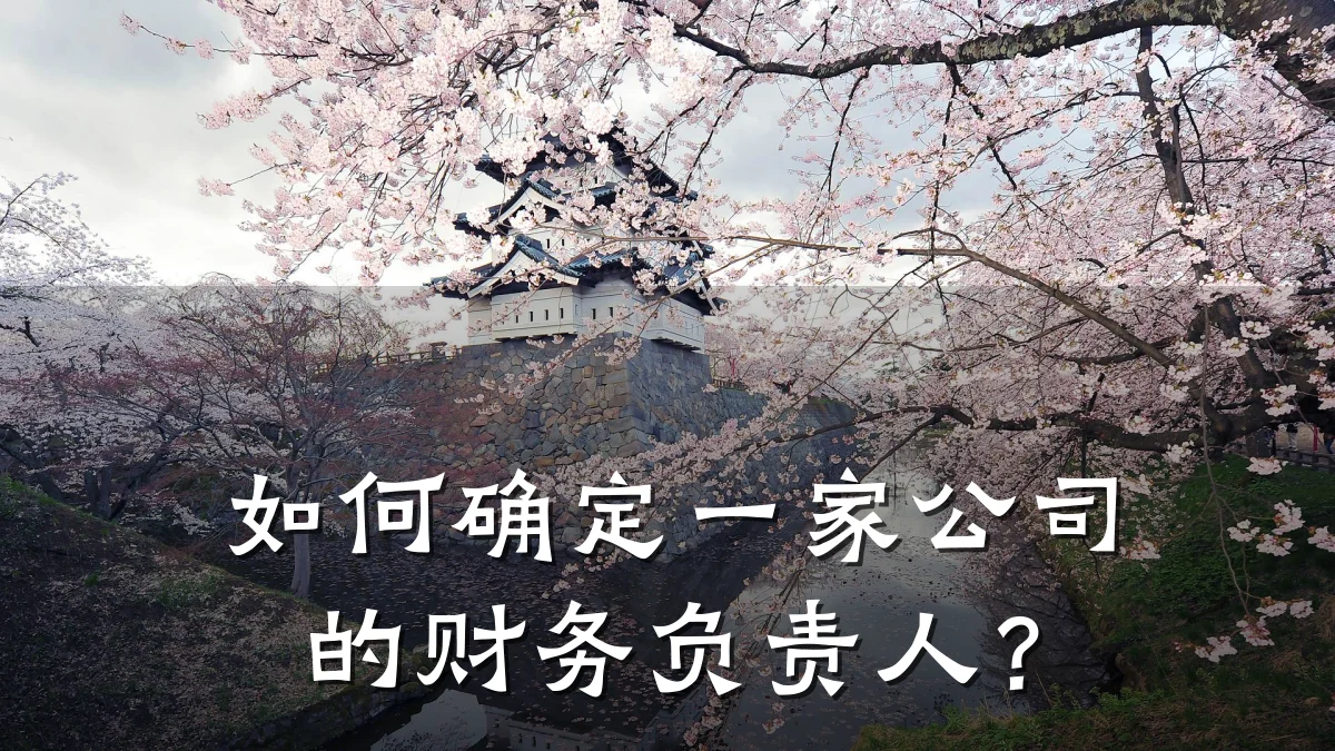 如何确定一家公司的财务负责人?