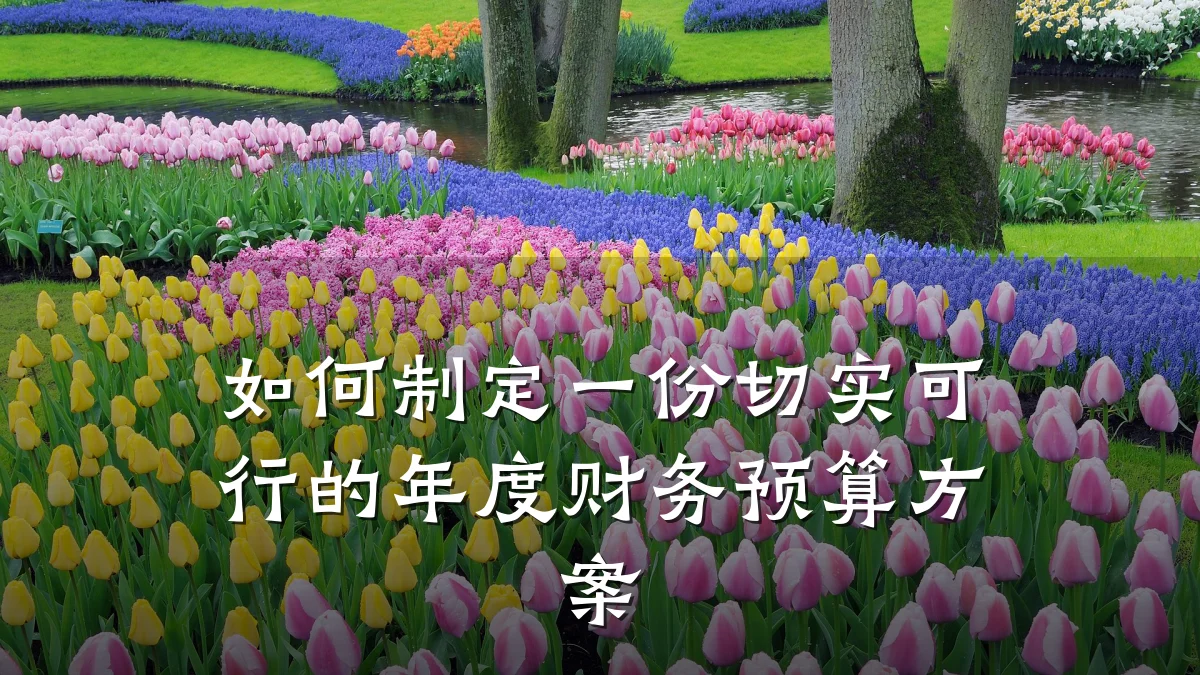 如何制定一份切实可行的年度财务预算方案