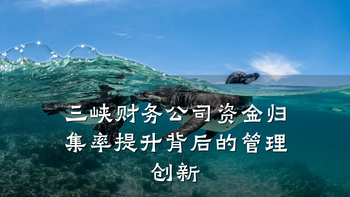 三峡财务公司资金归集率提升背后的管理创新