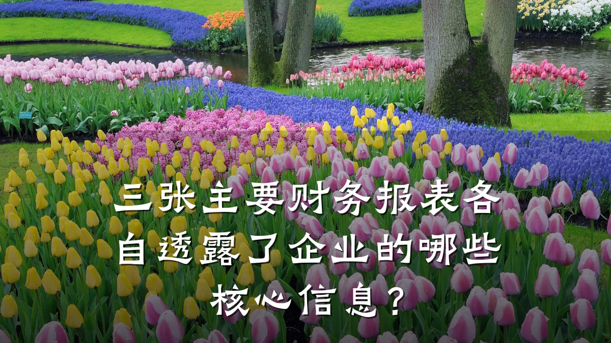 三张主要财务报表各自透露了企业的哪些核心信息？