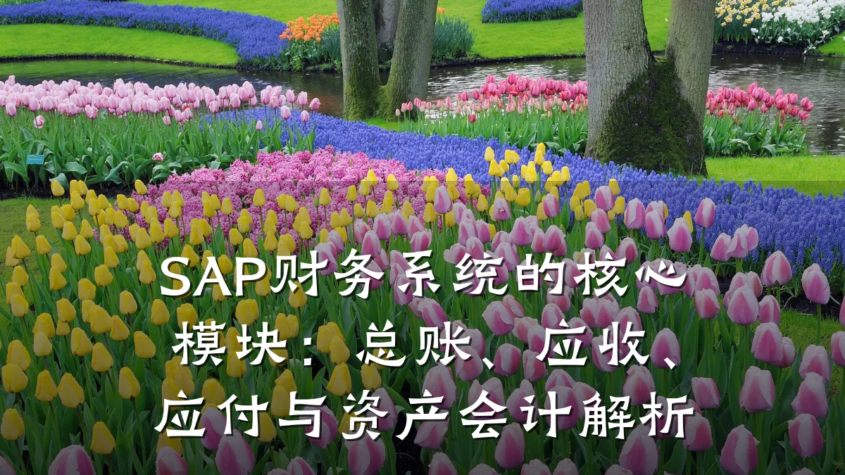 SAP财务系统的核心模块:总账、应收、应付与资产会计解析
