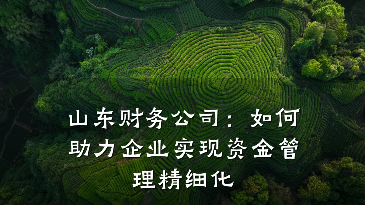 山东财务公司:如何助力企业实现资金管理精细化