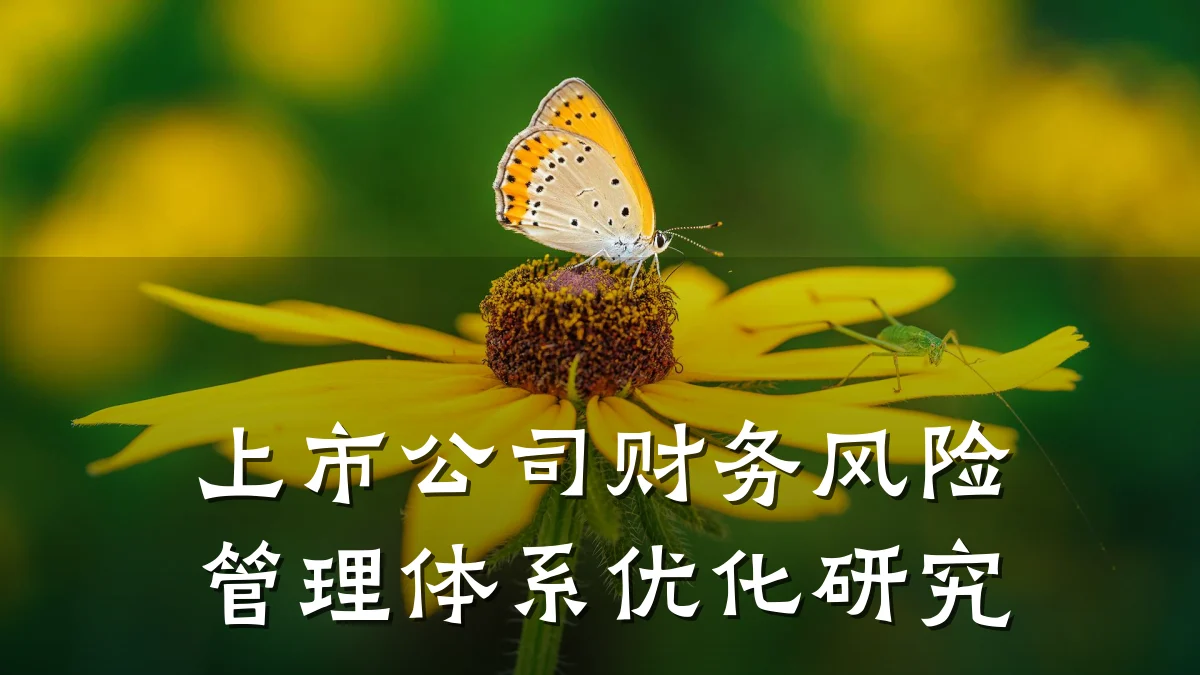 上市公司财务风险管理体系优化研究