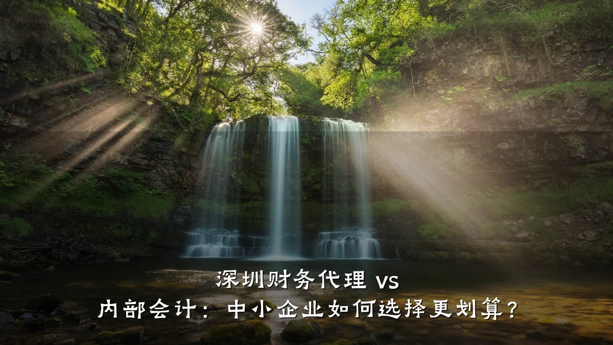 深圳财务代理 vs 内部会计:中小企业如何选择更划算?