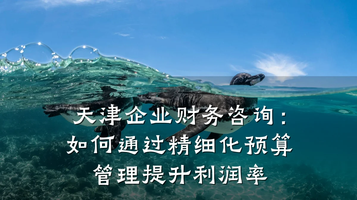 天津企业财务咨询:如何通过精细化预算管理提升利润率