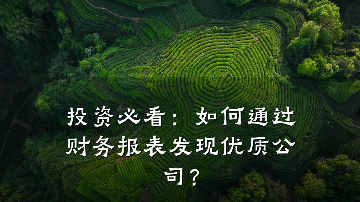 投资必看：如何通过财务报表发现优质公司？