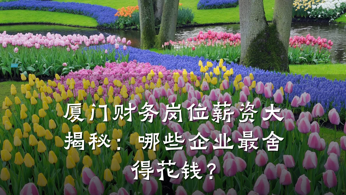 厦门财务岗位薪资大揭秘:哪些企业最舍得花钱?