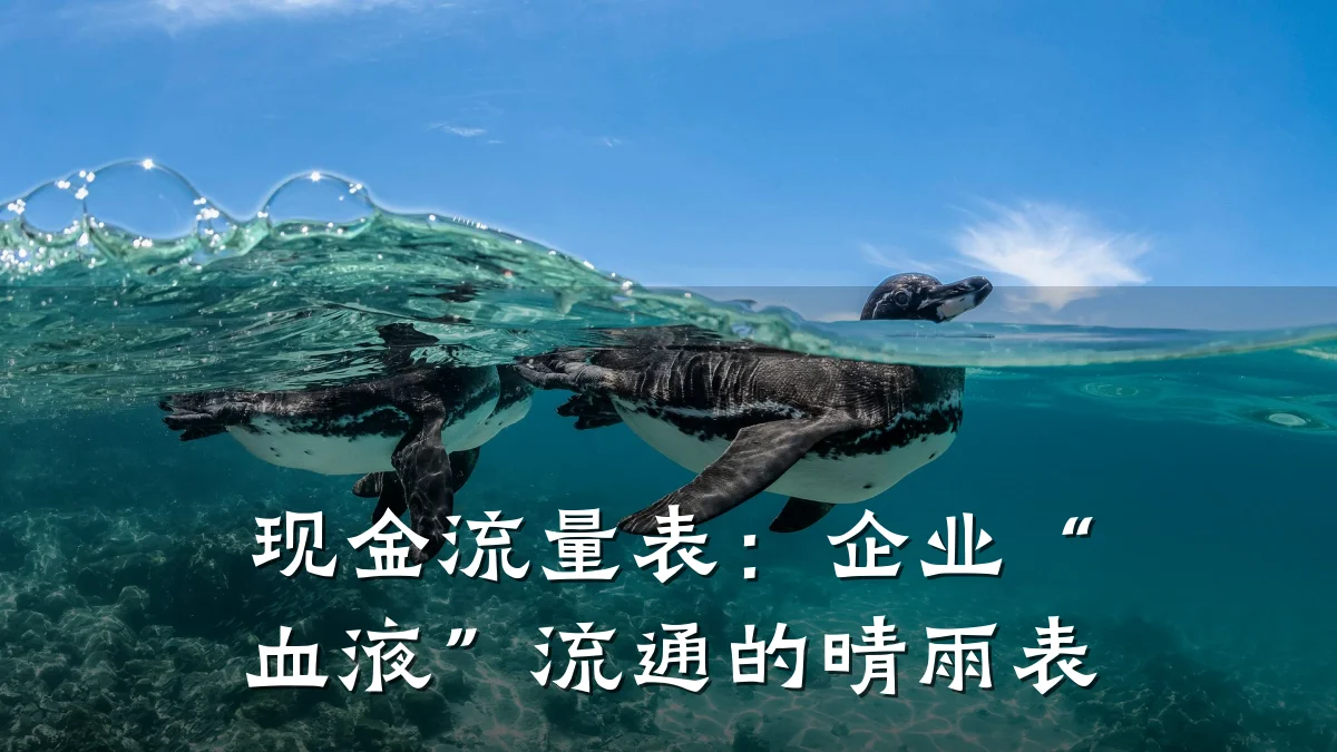 现金流量表:企业“血液”流通的晴雨表