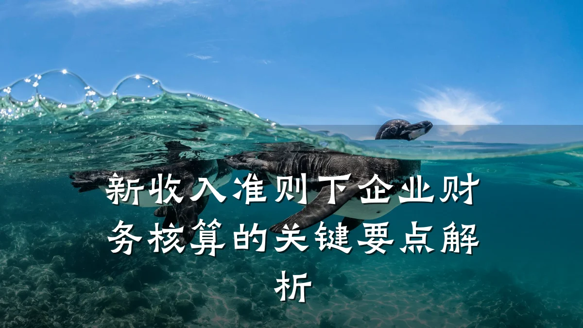 新收入准则下企业财务核算的关键要点解析