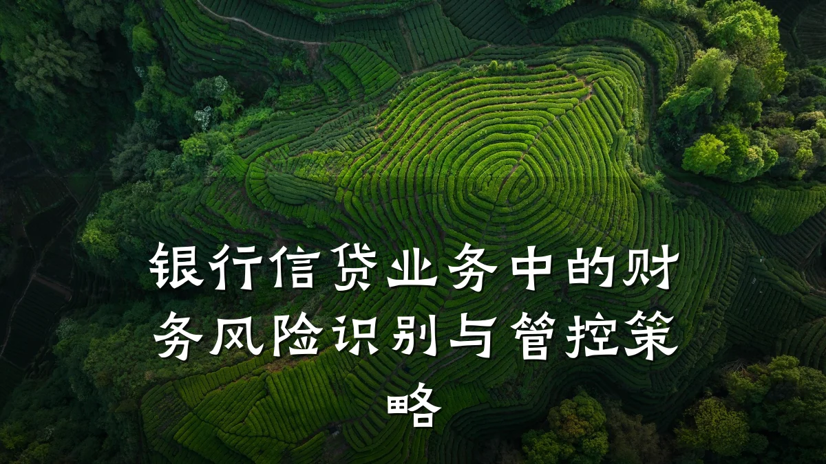 银行信贷业务中的财务风险识别与管控策略