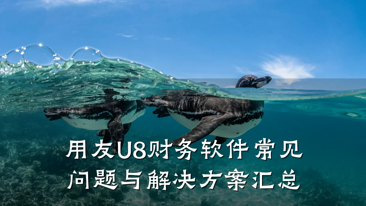 用友U8财务软件常见问题与解决方案汇总