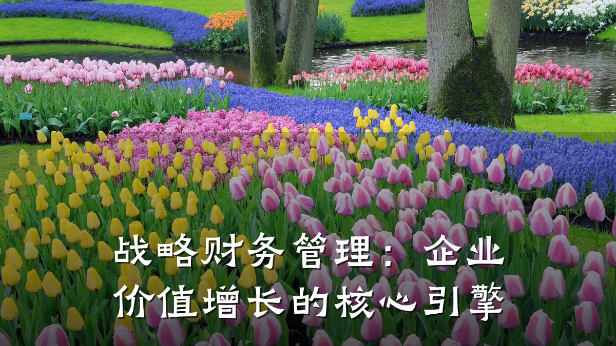 战略财务管理:企业价值增长的核心引擎