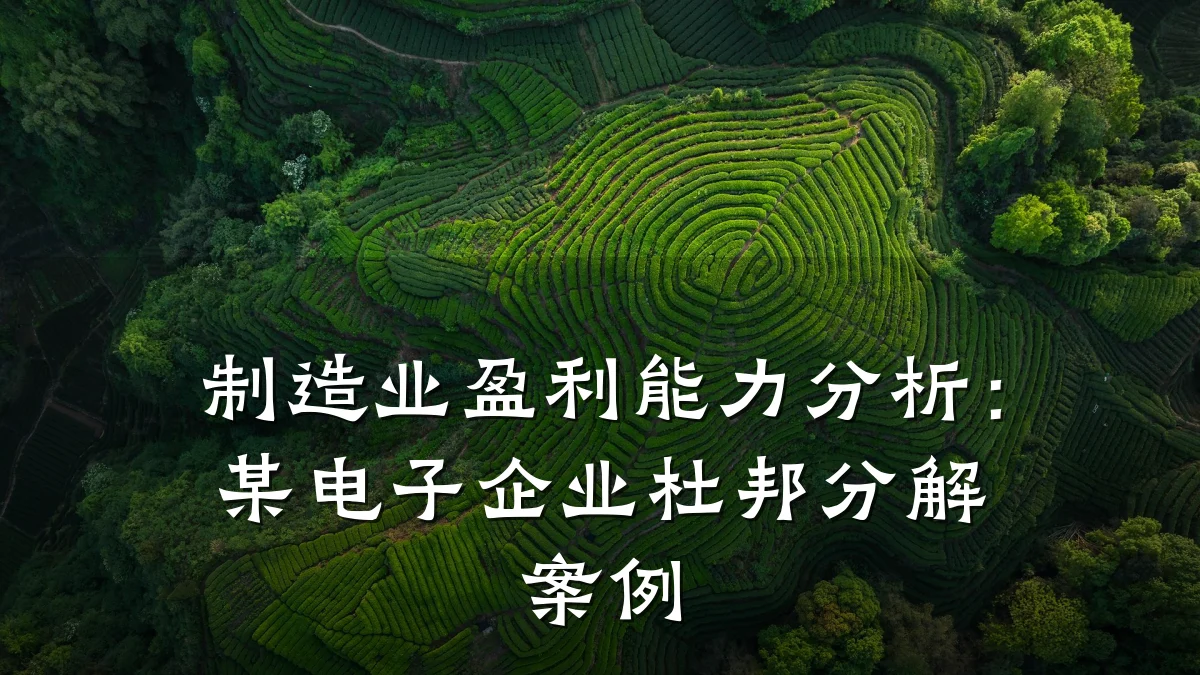 制造业盈利能力分析:某电子企业杜邦分解案例