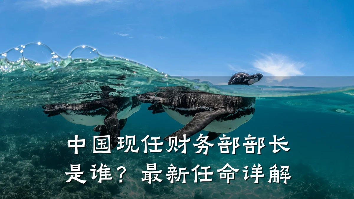 中国现任财务部部长是谁?最新任命详解