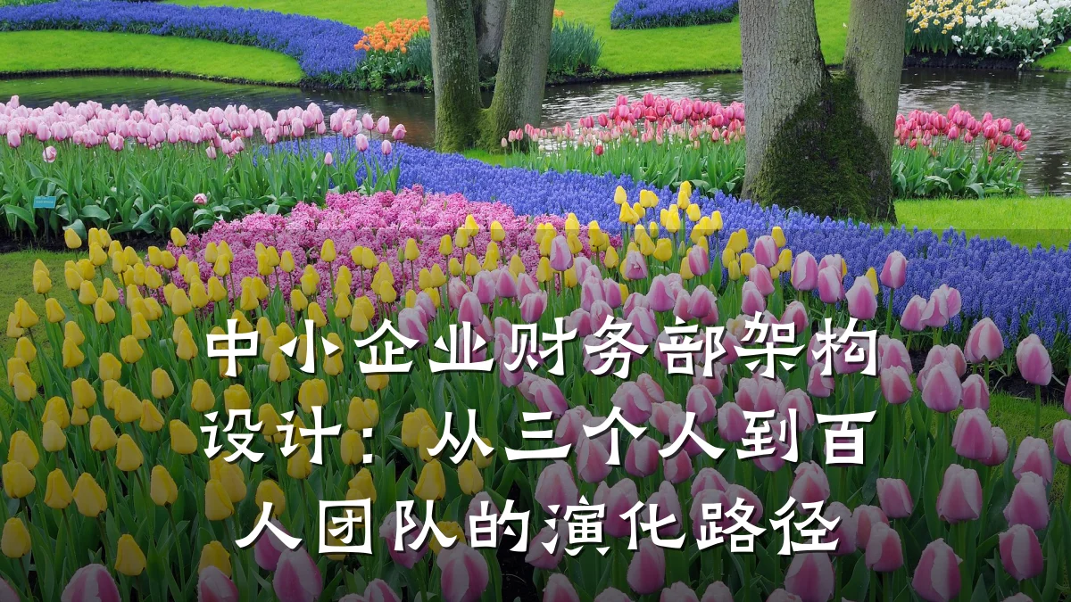 中小企业财务部架构设计:从三个人到百人团队的演化路径