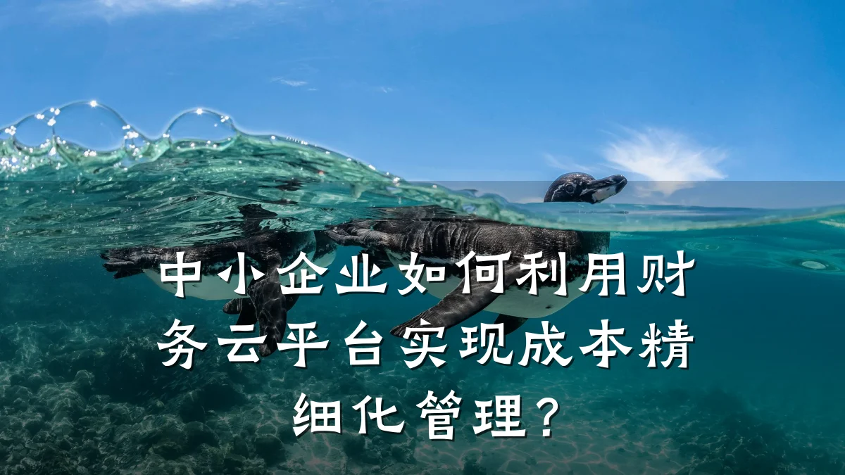 中小企业如何利用财务云平台实现成本精细化管理?