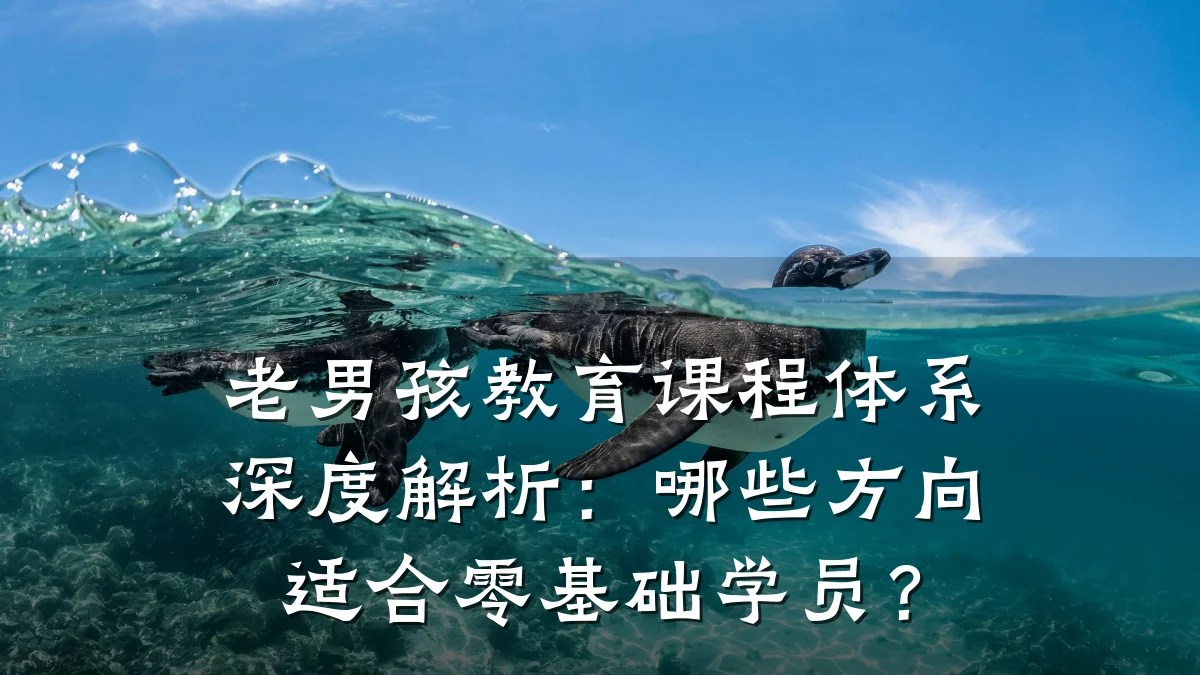 老男孩教育课程体系深度解析:哪些方向适合零基础学员?
